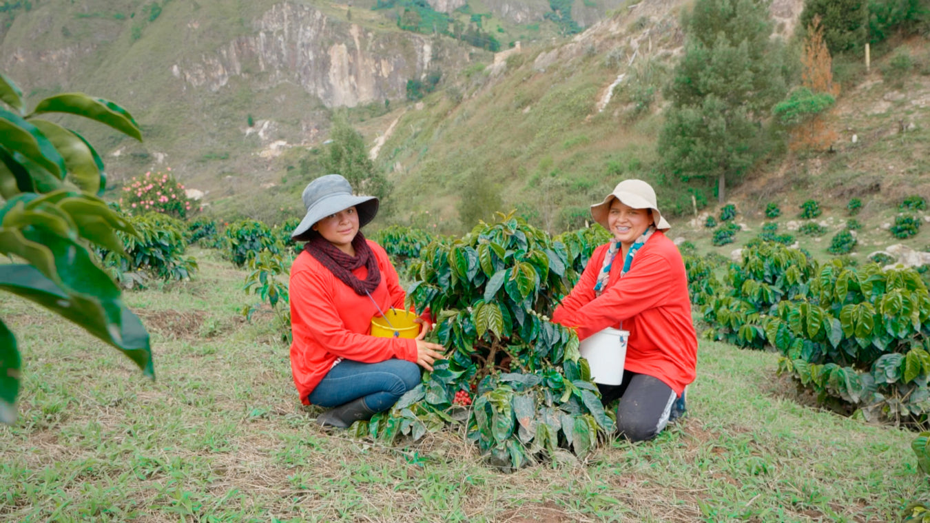 Ecuador – Hacienda la Papaya
