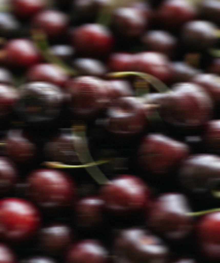 Indonezia – Lucky Cherry [7th Anniversary]