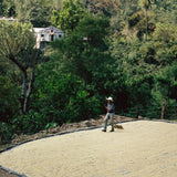 Guatemala – Las Flores de Cafe