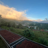 Costa Rica – Juanachute