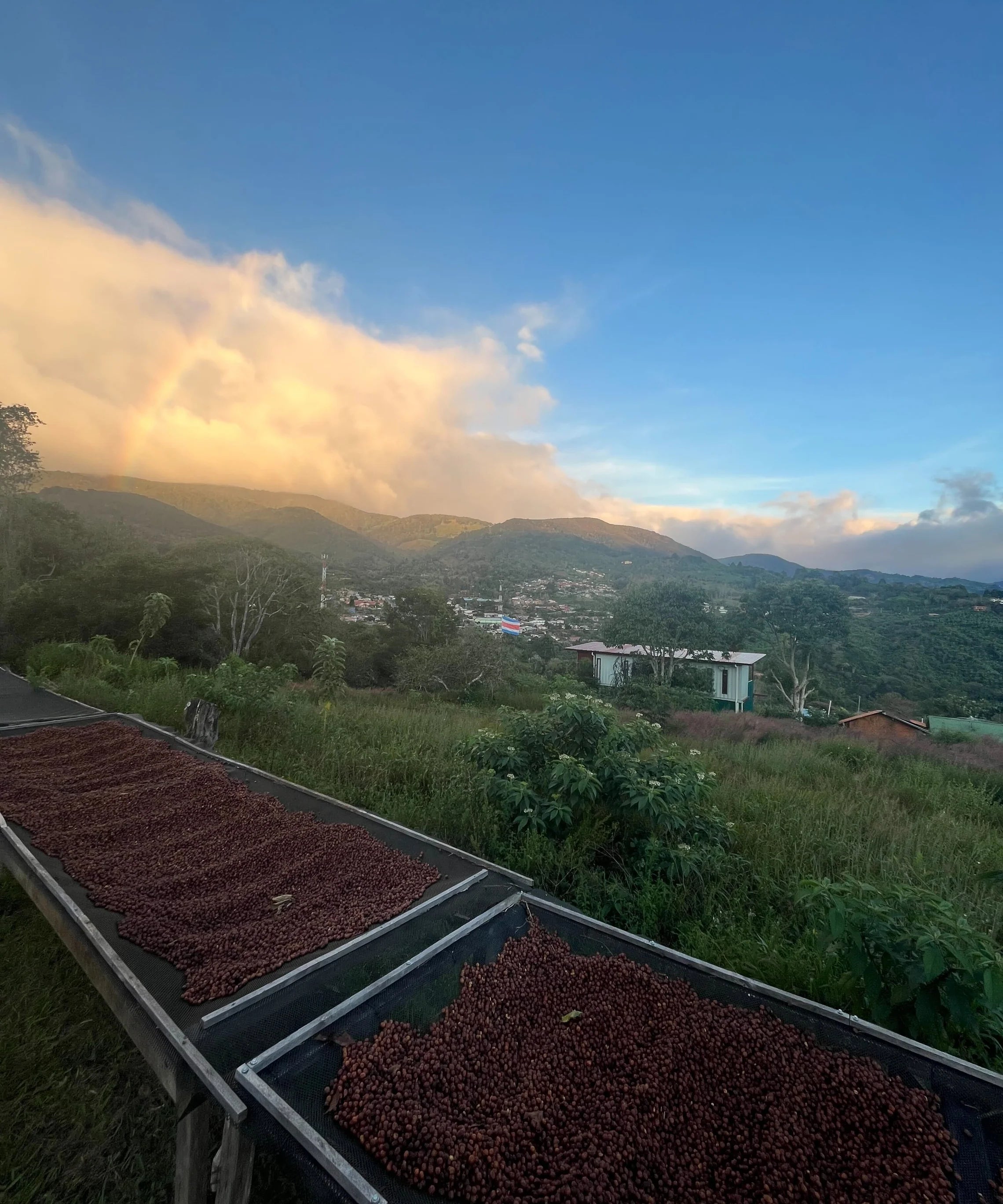 Costa Rica – Juanachute