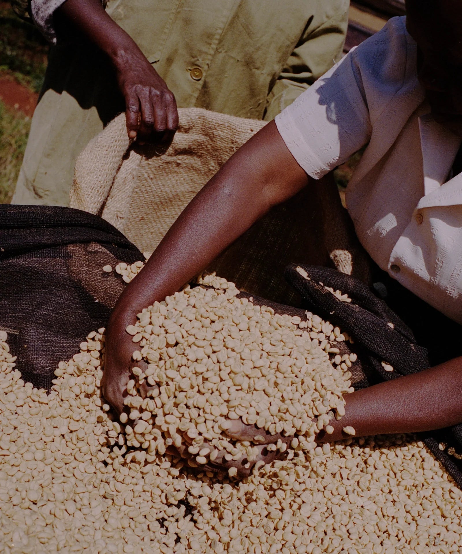 Kenya – Kiangoi