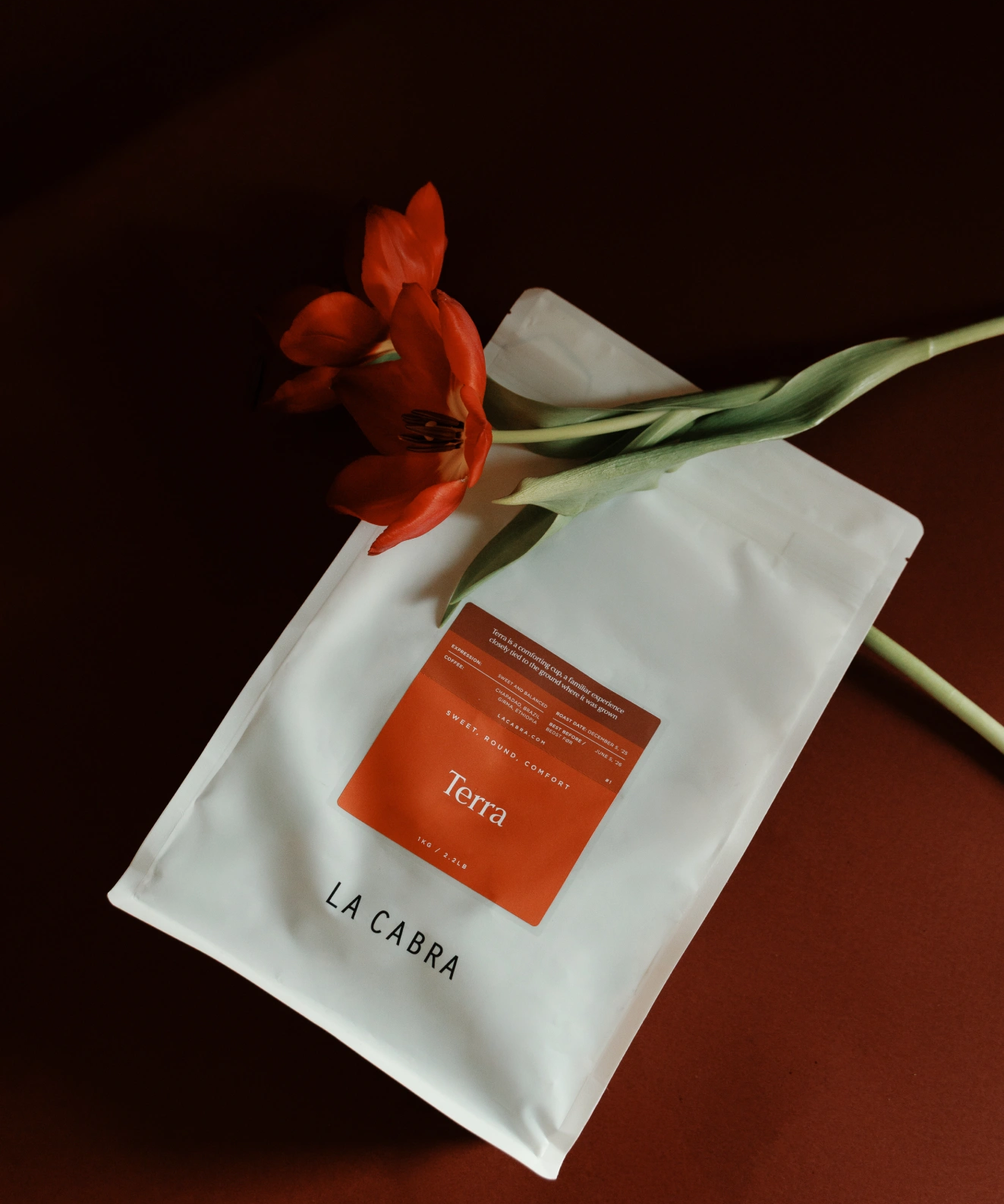 Blend – Terra
