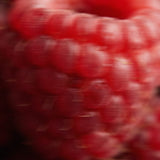 Columbia – Macaron