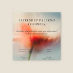 Coffee Community Colombia Excelso EP Palermo coffee beans with notes of red fruits, peach, citrus, and caramel.