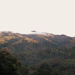 Coffee Community landscape view of the lush green mountains in San Agustin Huila where Pink Bourbon coffee is grown