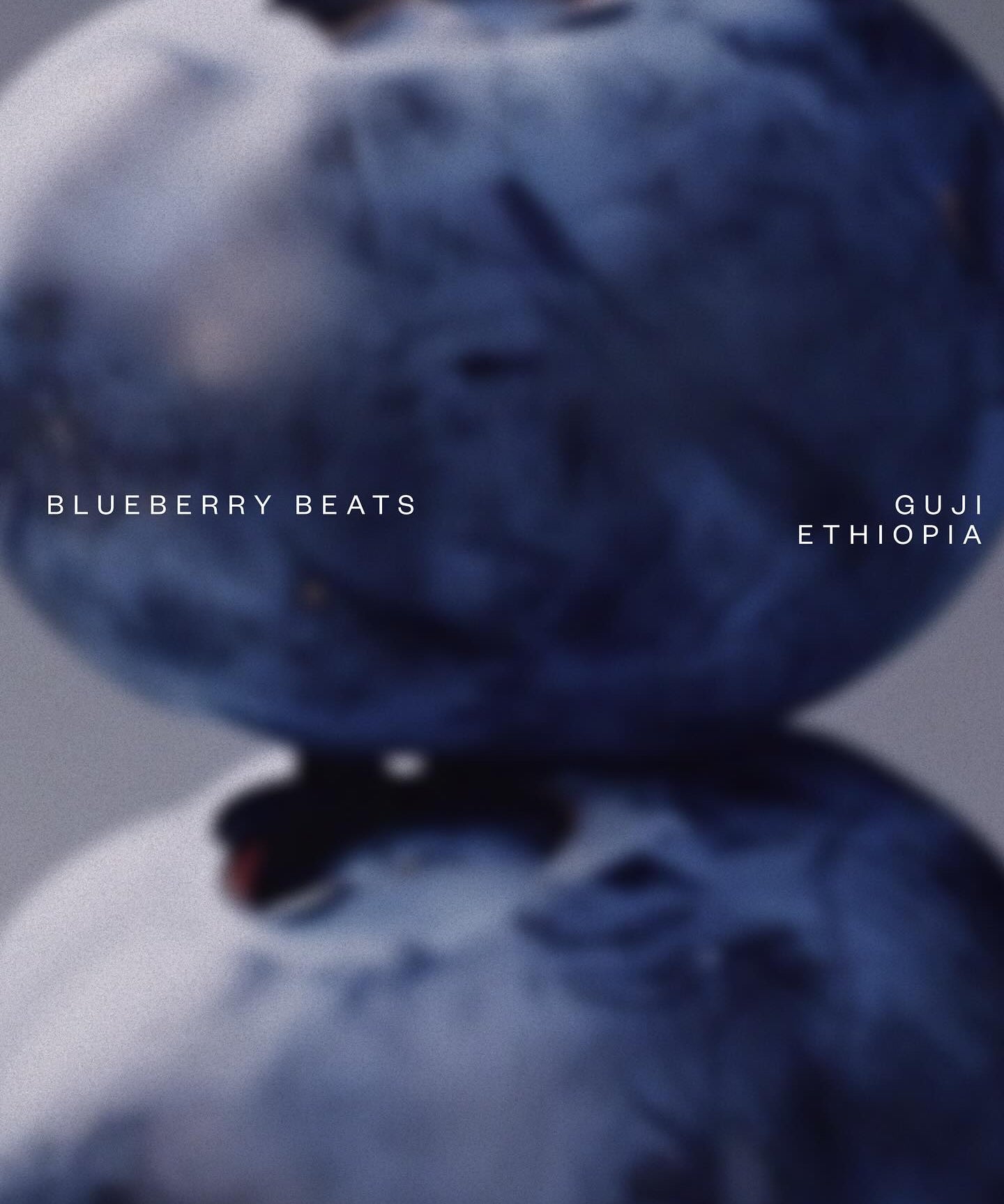 Etiopia – Blueberry Beats