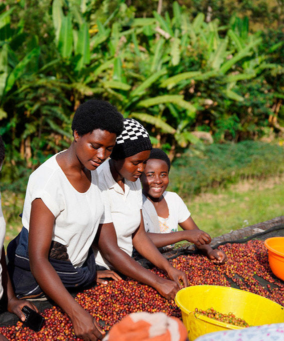 Rwanda – Isano