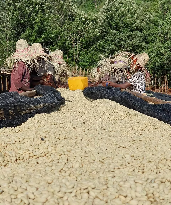 Etiopia – Bensa Bombe