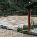 Columbia – Sustainable Profile Coffee