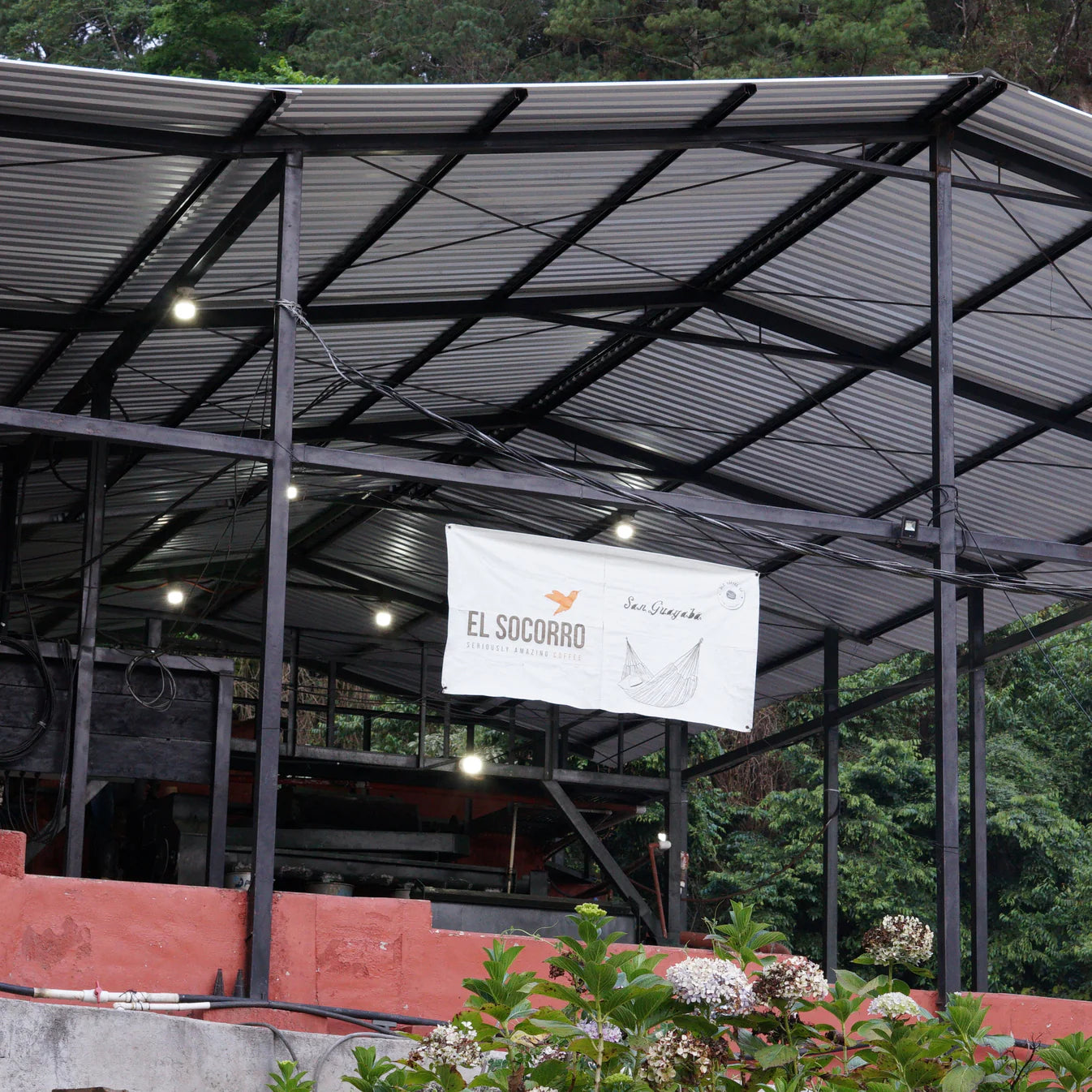 Guatemala – Sustainable Profile Coffee