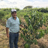 Columbia – Banana Fermentation