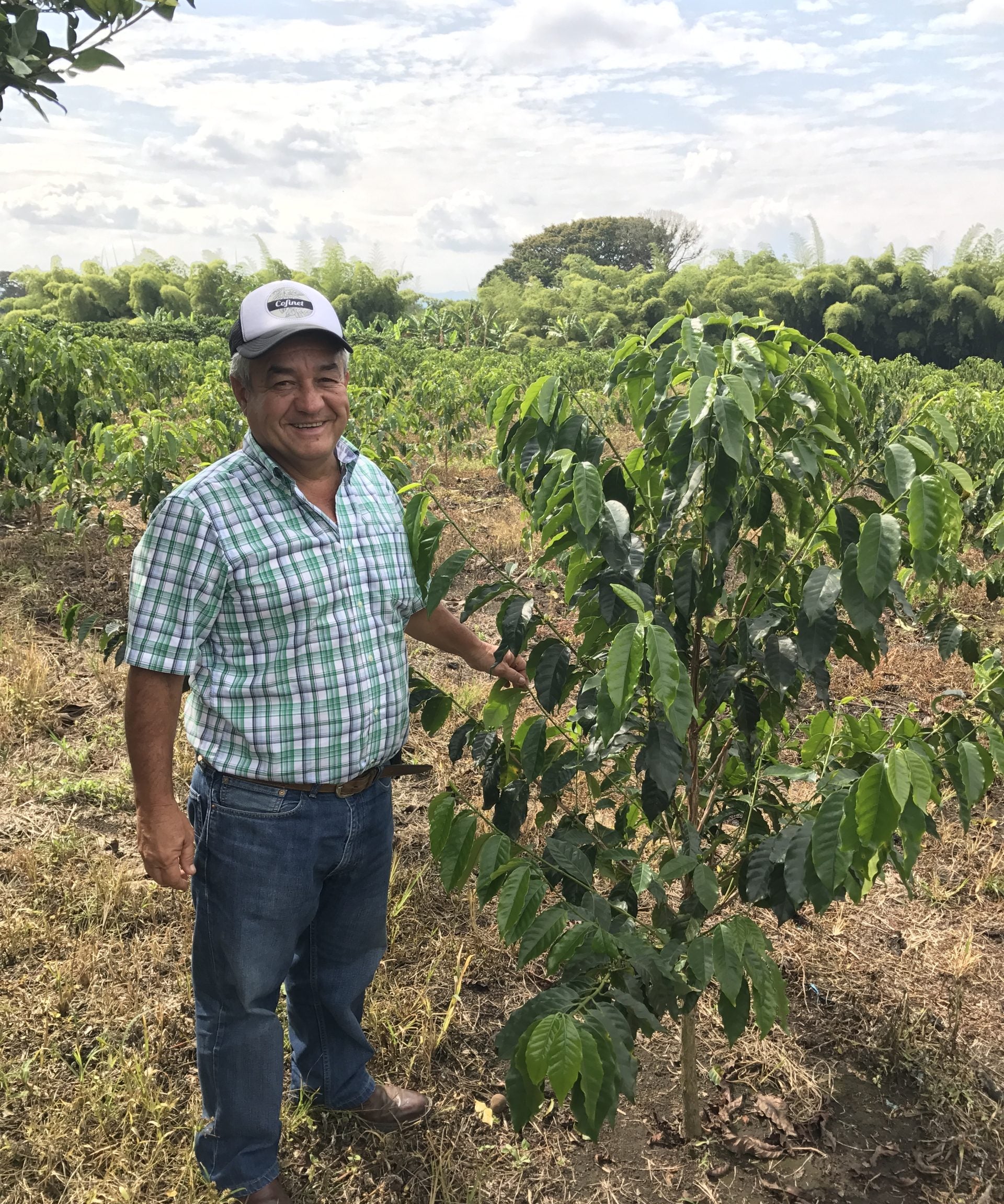 Columbia – Banana Fermentation