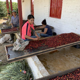 Columbia – Banana Fermentation