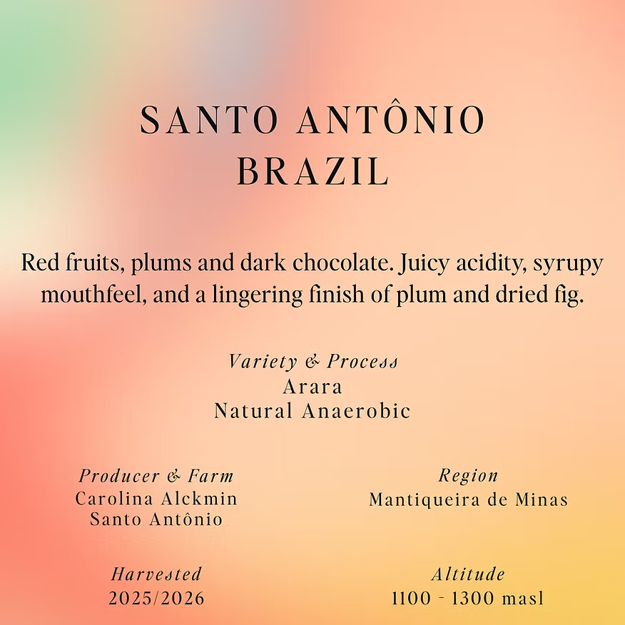 Brazilia – Santo Antonio