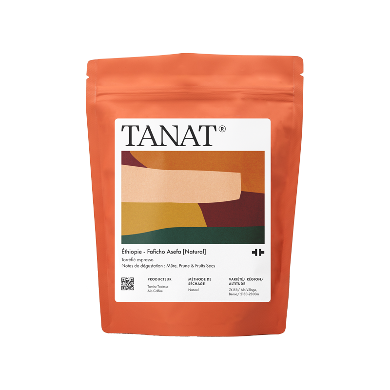 Etiopia – Faficho Asefa